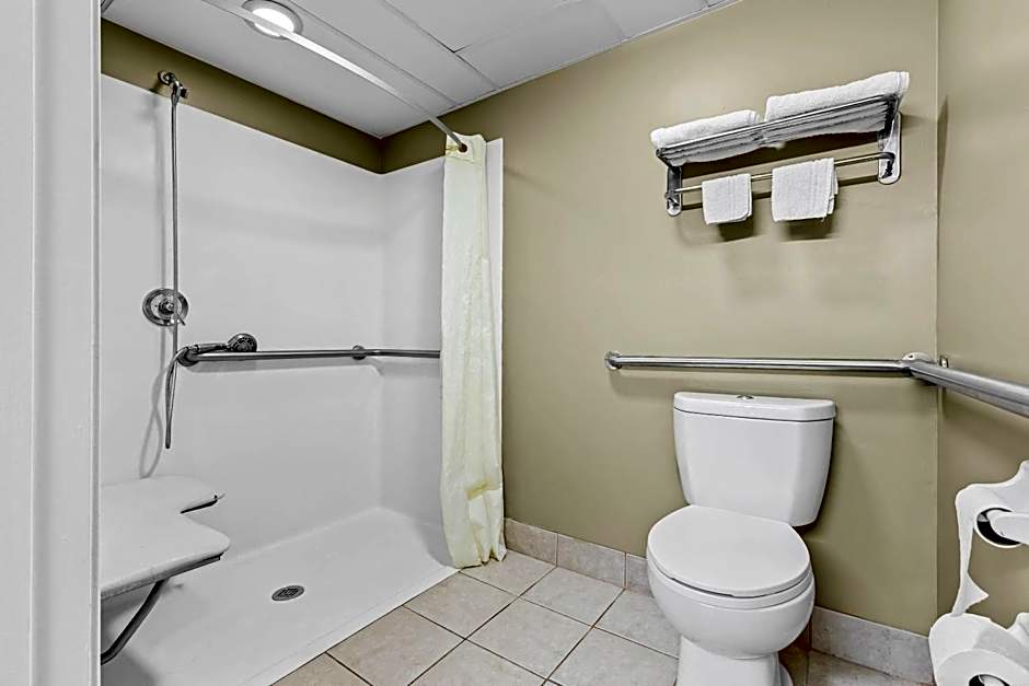 Rodeway Inn Stone Mountain