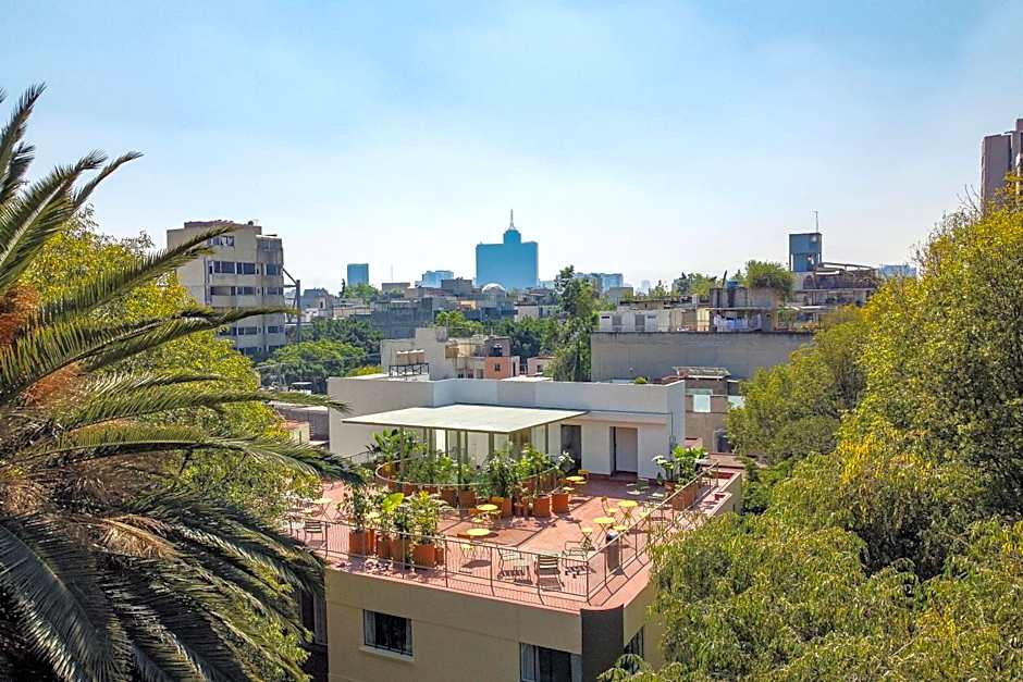 Nido Condesa