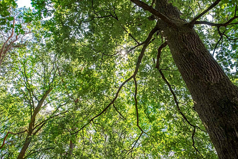 Vakantiepark Zevenbergen