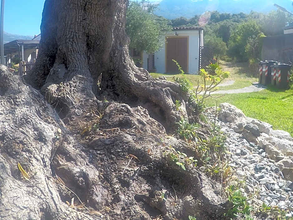 B&B da Maria Teresa - Maratea