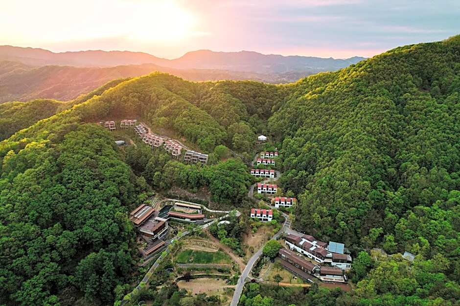 Healience Village