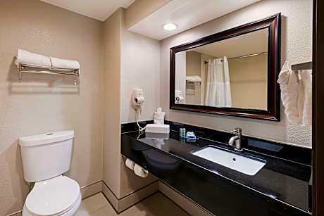 1 King Bed, Non-Smoking, Wireless High-Speed Internet, Microwave And Refrigerator, Coffee Maker, Hai