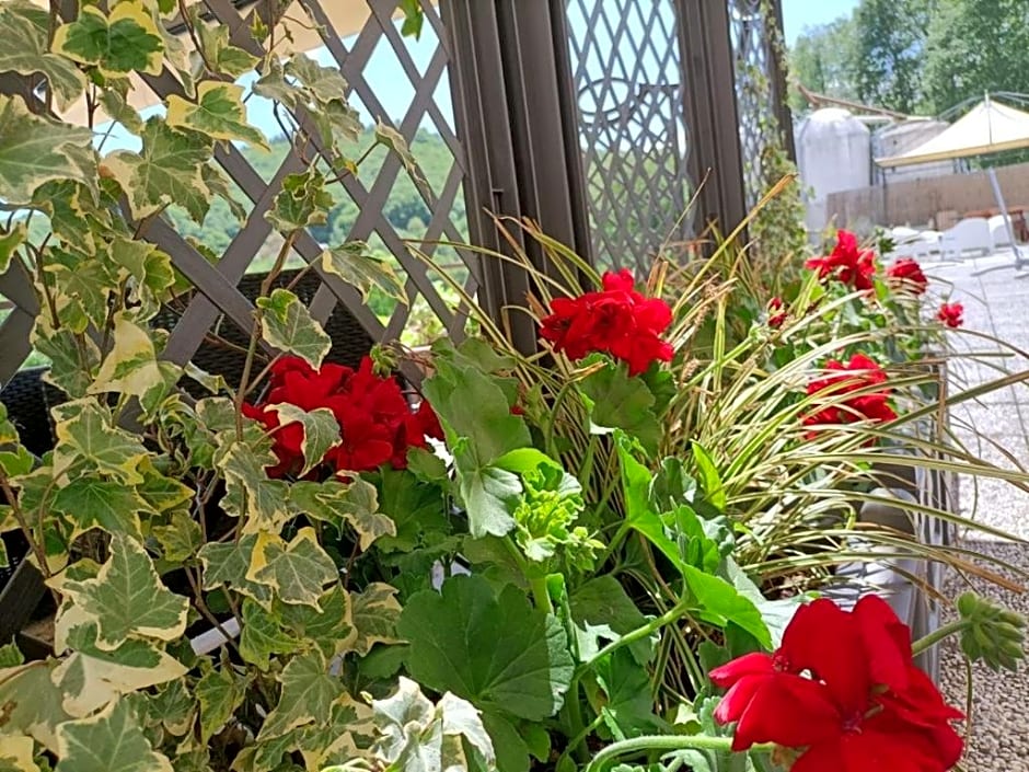 Favetto Family Ranch