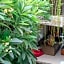 Alia Home