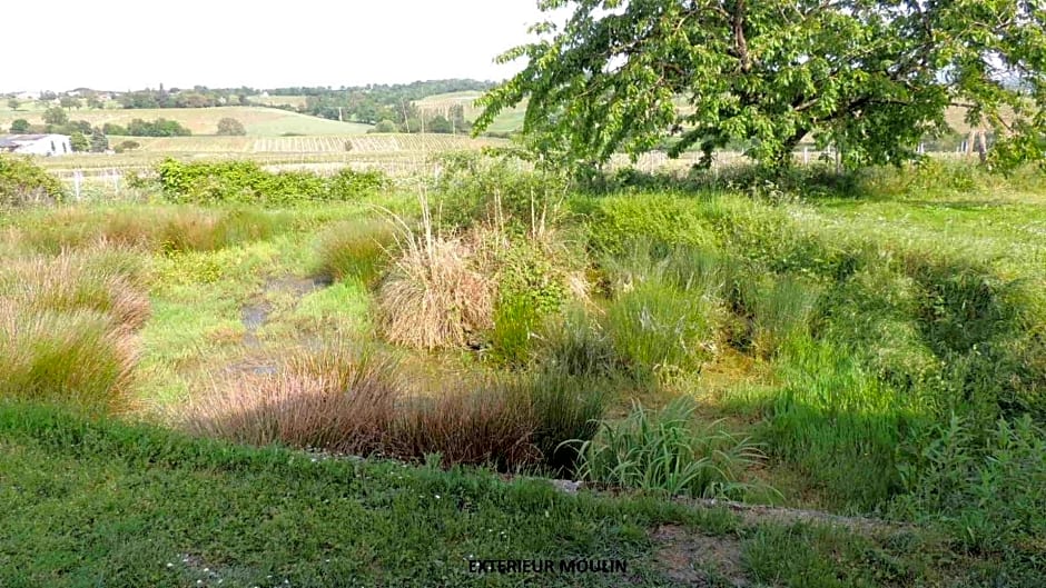 Moulin de la Placette