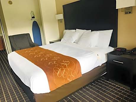 1 King Bed Mobility Accessible Room Non-Smoking