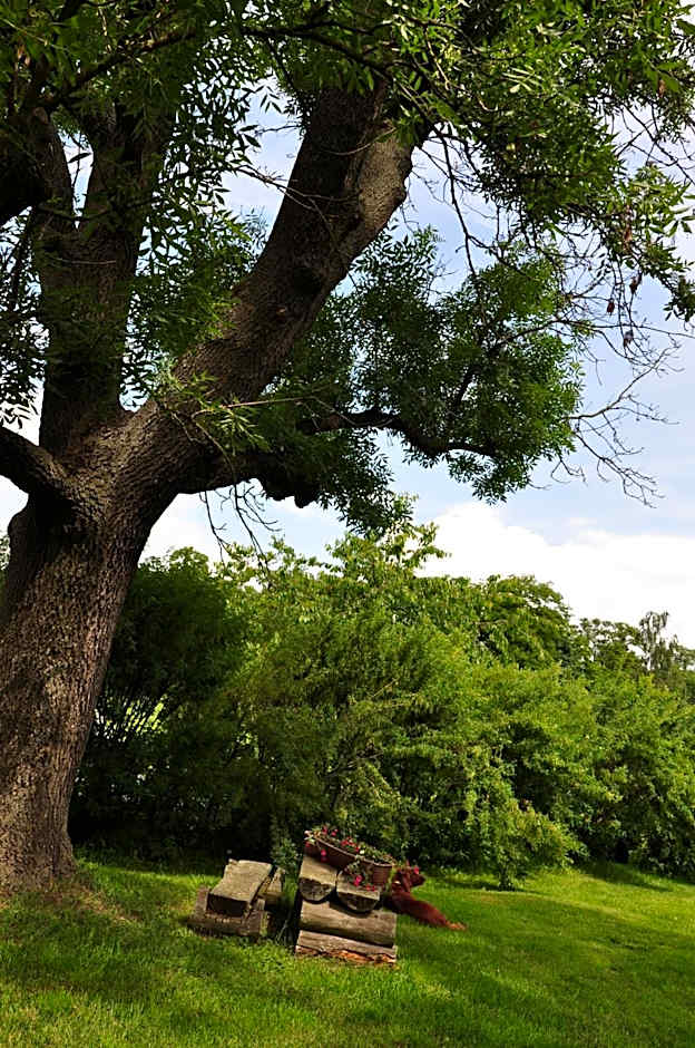 Restauracja - Hotel Pałacowa