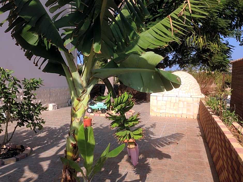 Astrofegia Apartments Near The Sea