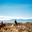 Tombstone Monument Guest Ranch