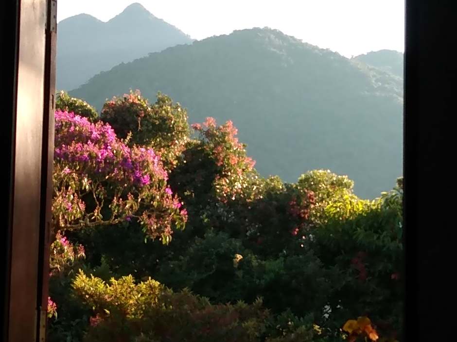 Solar Picu Eco-hospedaria