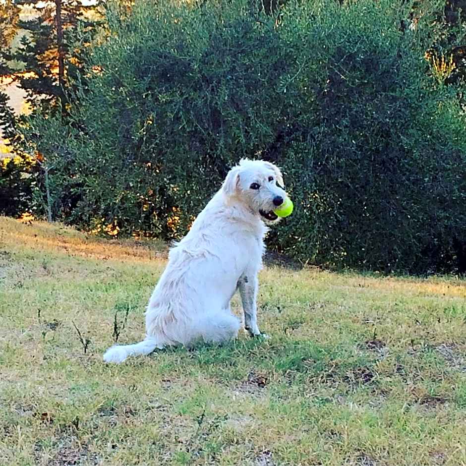 La Locanda del Barbagianni