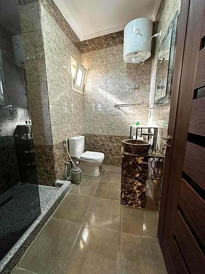 Narmer Pyramids View