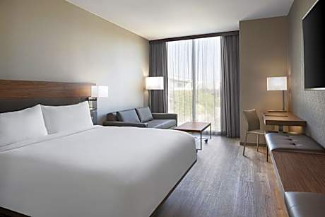 King Room with Sofa Bed