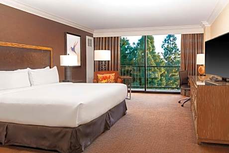 1 King Bed Superior Room