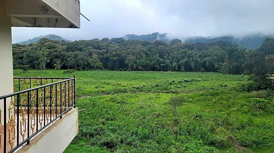 Jungle Palace Homestay