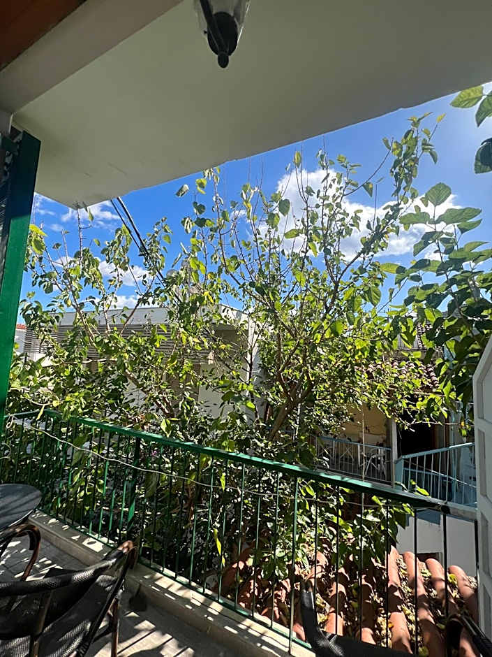Zdjęcie 1 z 9 — Garden View