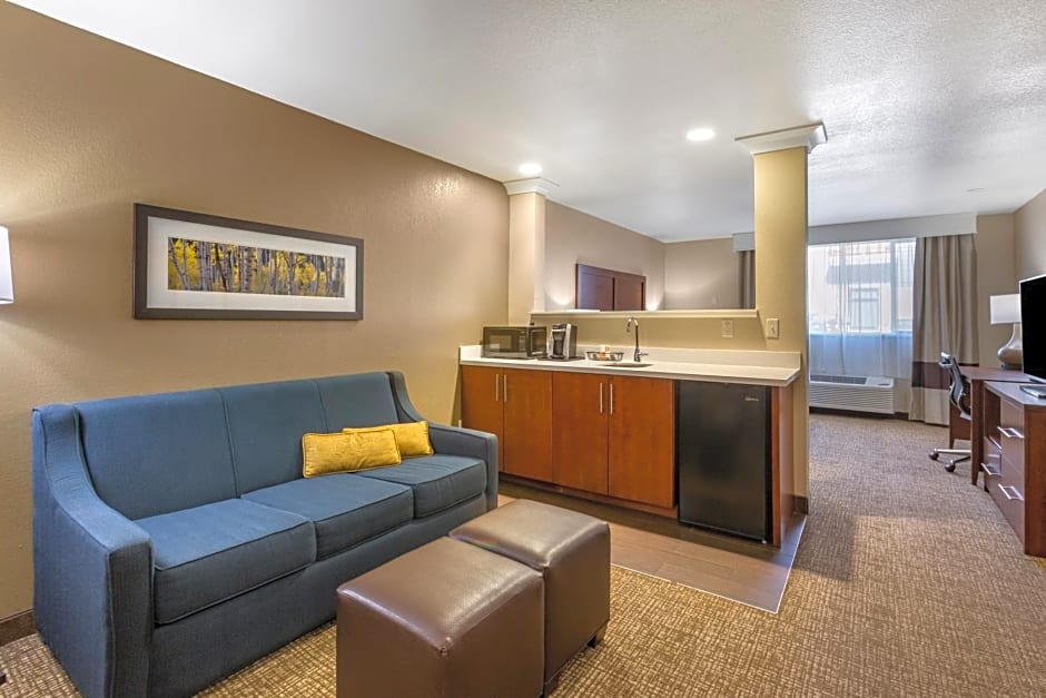 Comfort Inn & Suites I-90 City Center
