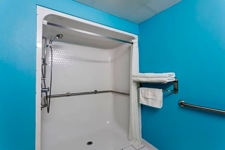 1 Double Bed, Accessible Room, Non-Smoking