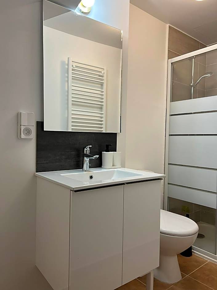 THEIA - Limoges Centre