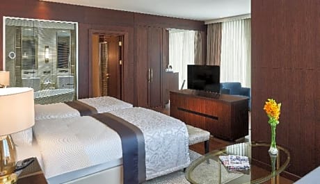 SINGLE SUITE WITH KING SIZE BED