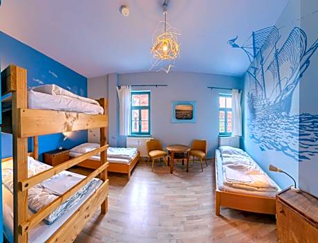 Bed in 4-Bed Dormitory Room