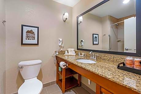 1 King Bed, Suite, Nonsmoking