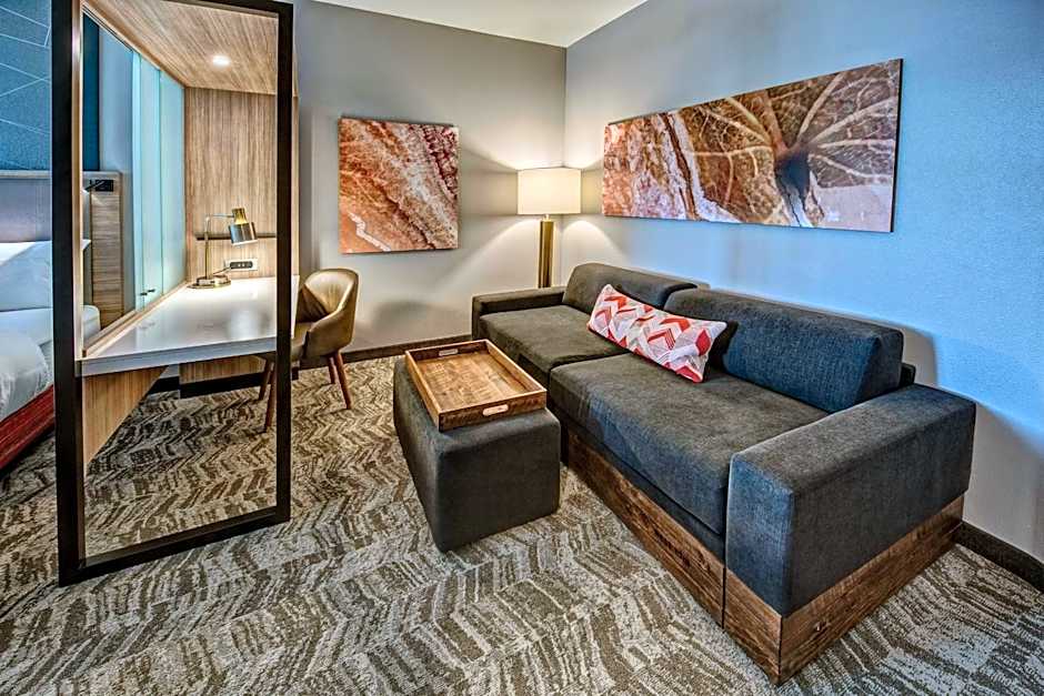 SpringHill Suites by Marriott Amarillo