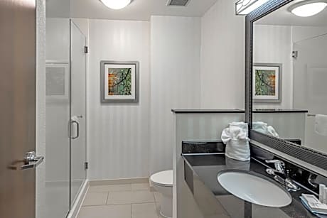 King Studio with Sofa Bed