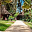 Royal Horizon Baobab