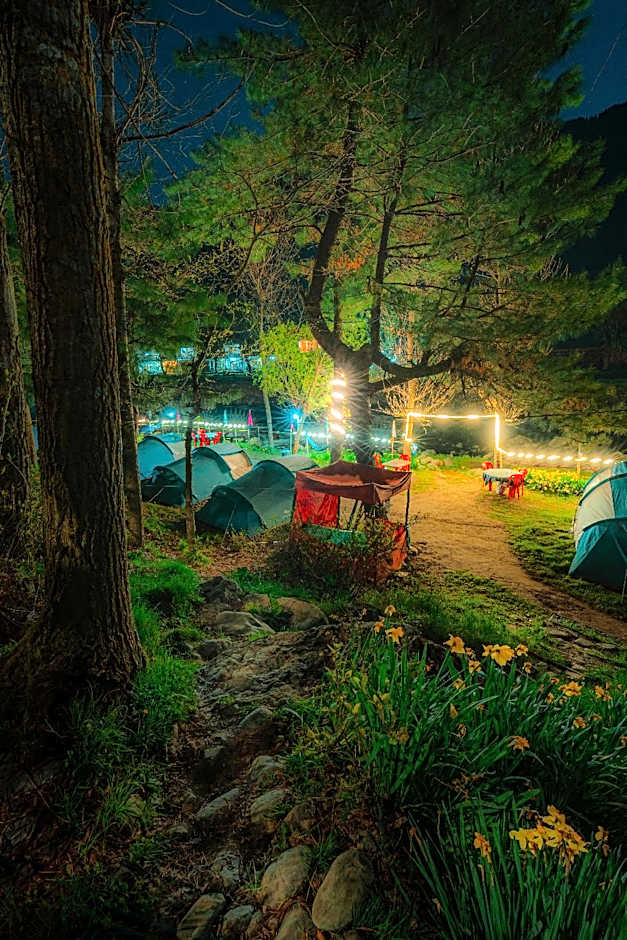 River Bank Camping 