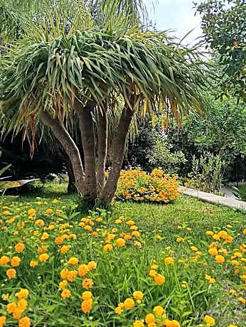 Masseria Lama