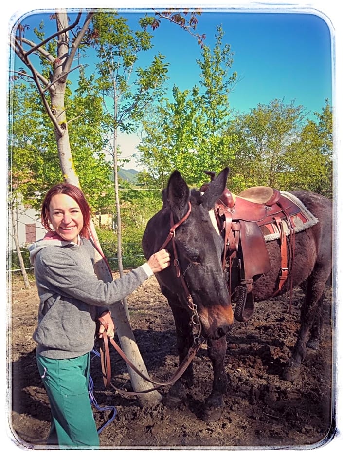 Bed and Breakfast Balli coi Lupi