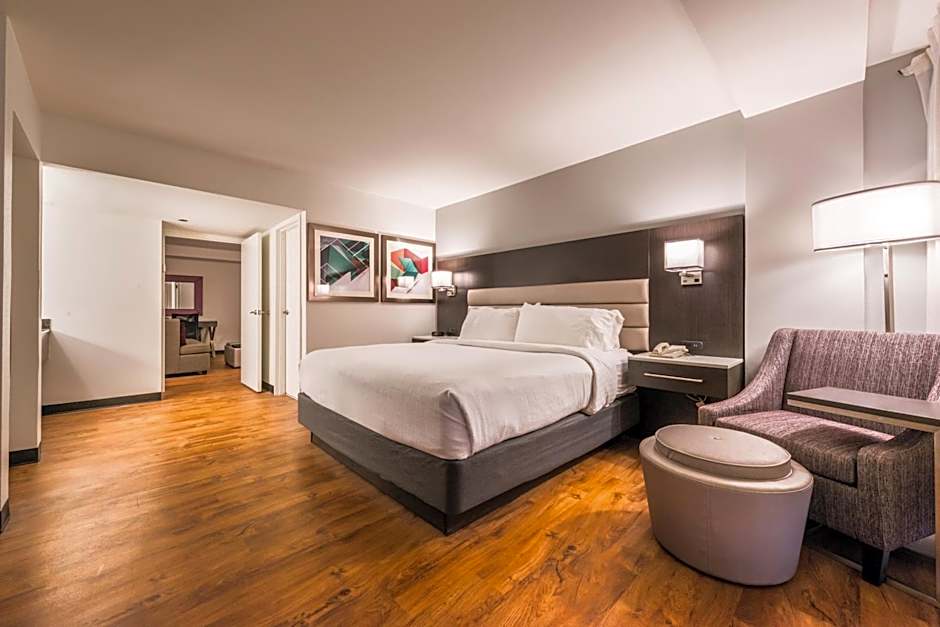 Holiday Inn Hotel and Suites Beaumont-Plaza I-10 & Walden By IHG
