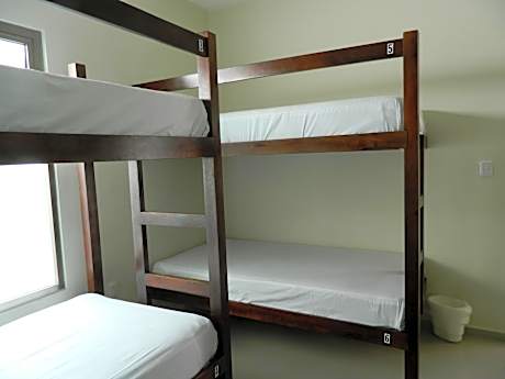 Bed in 6-Bed Mixed Dormitory Room