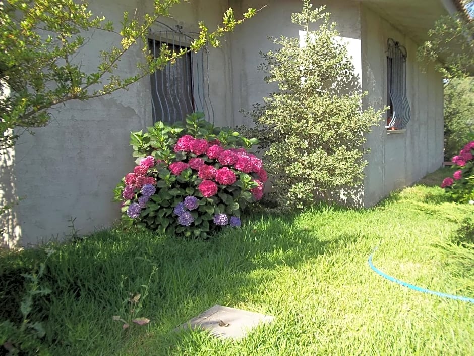 Il Vecchioliveto di Ornella