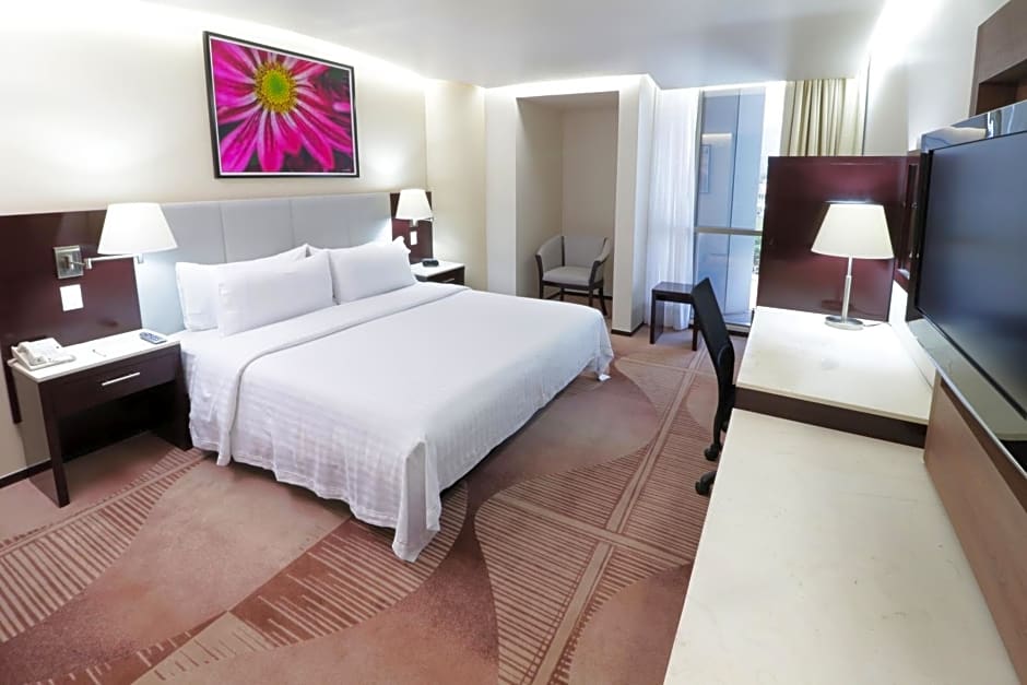 Holiday Inn Hotel & Suites Mexico Medica Sur By IHG