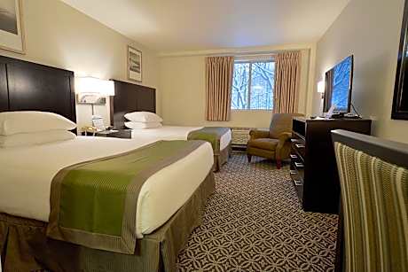 Double Room with Two Double Beds