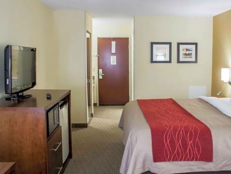 1 King Bed, Nonsmoking, Accessible
