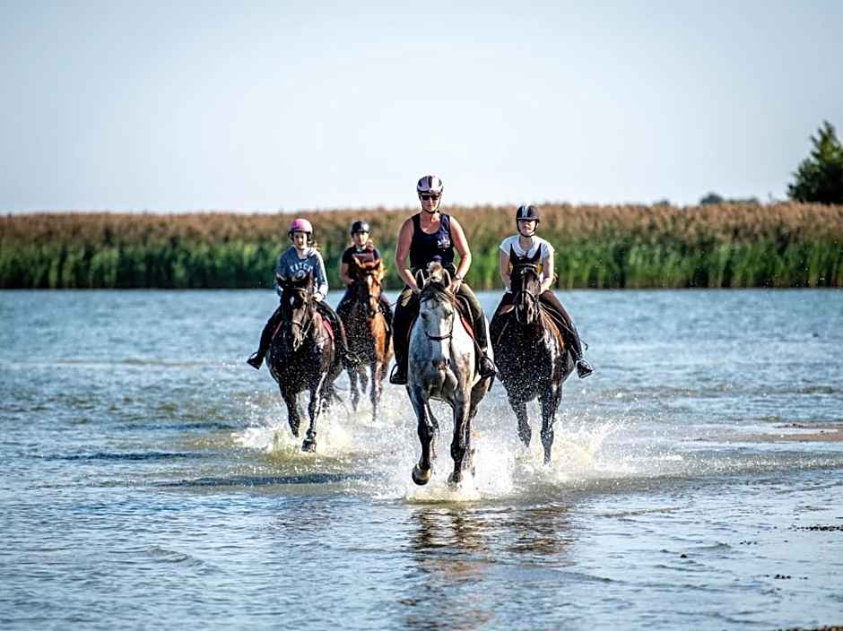 Kadyny Folwark Hotel & SPA