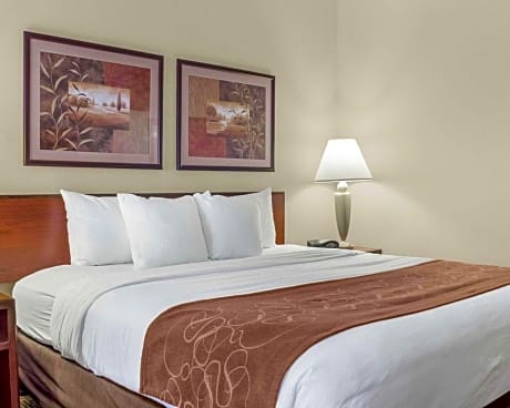 King Room with Roll-In Shower - Accessible/Non-Smoking