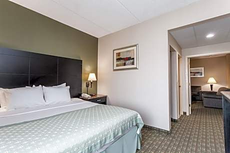 1 King Bed Deluxe One-Bedroom Suite Non-Smoking