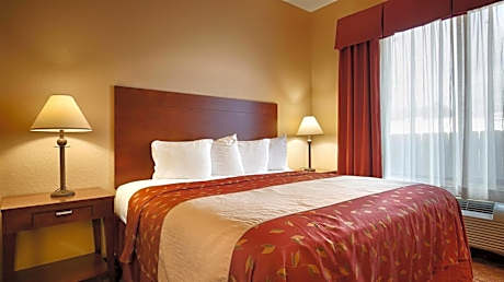 1 King Bed Non Smoking