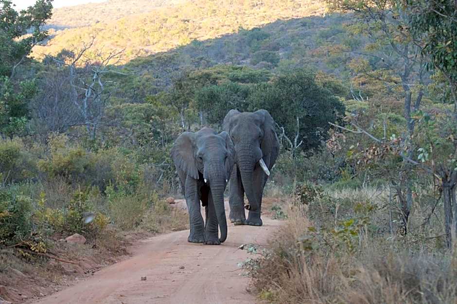 Inzalo Safari Lodge