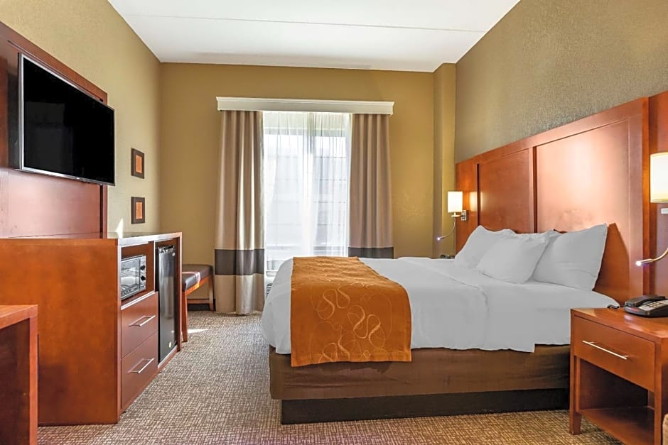 Comfort Suites Grand Rapids South