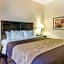 Comfort Inn & Suites Atoka