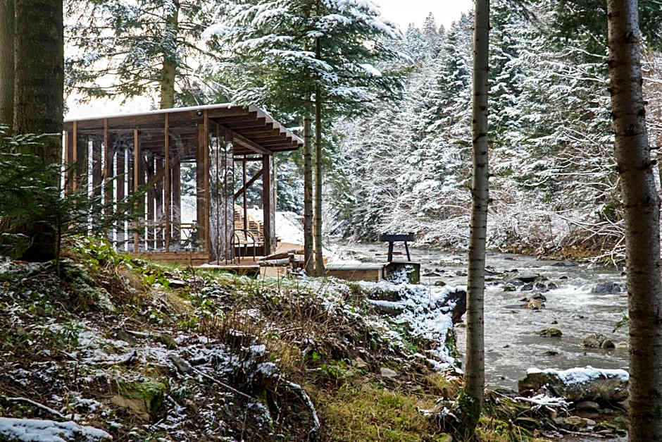 Novosiele Lifestyle Apartments - nad górską rzeką - Strefa relaksu sauna jacuzzi - Bieszczady