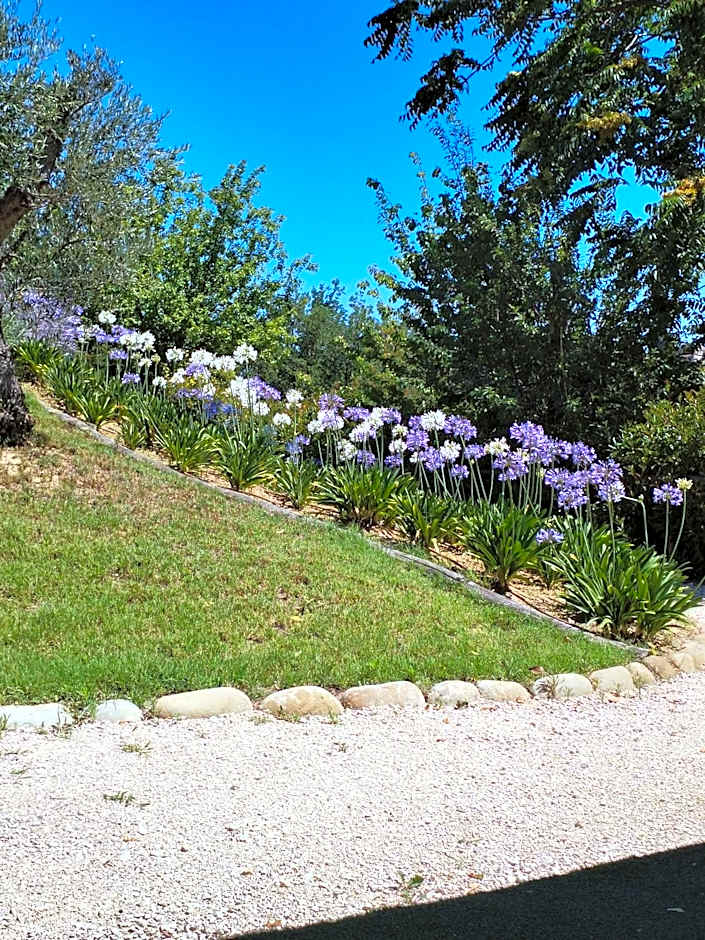 Il Gelso Country House