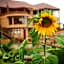 Ngorongoro Marera Mountain View Lodge