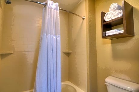 One-Bedroom Suite with Full Kitchen and Sofa Bed
