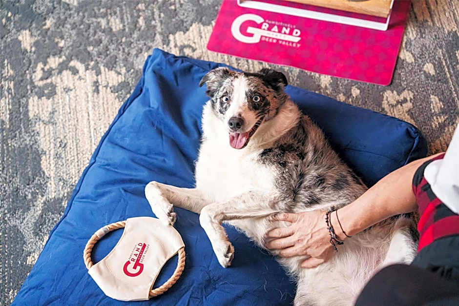 Grand Hyatt Deer Valley